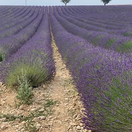 Apart-hotel Nuitee En Provence 2 *